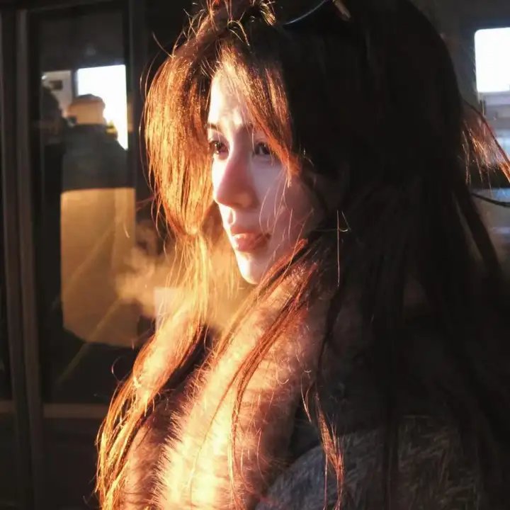 渡渡鸟